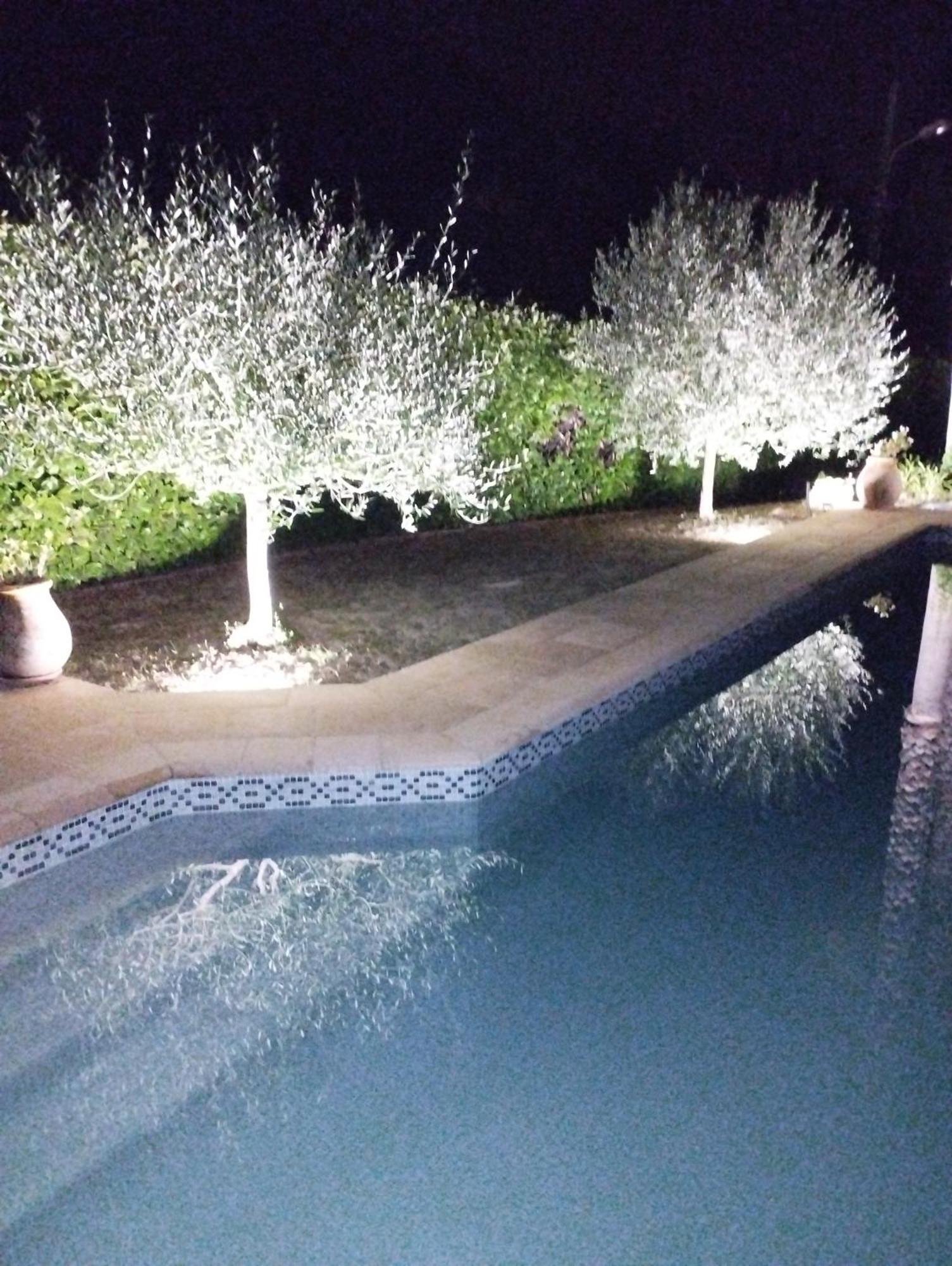 Au Vallon Rouge Saint-Paul-de-Vence Ngoại thất bức ảnh