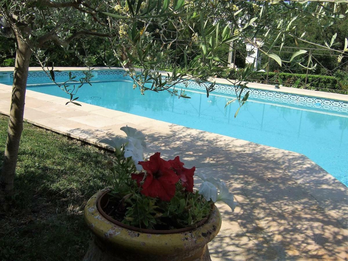 Au Vallon Rouge Saint-Paul-de-Vence Ngoại thất bức ảnh