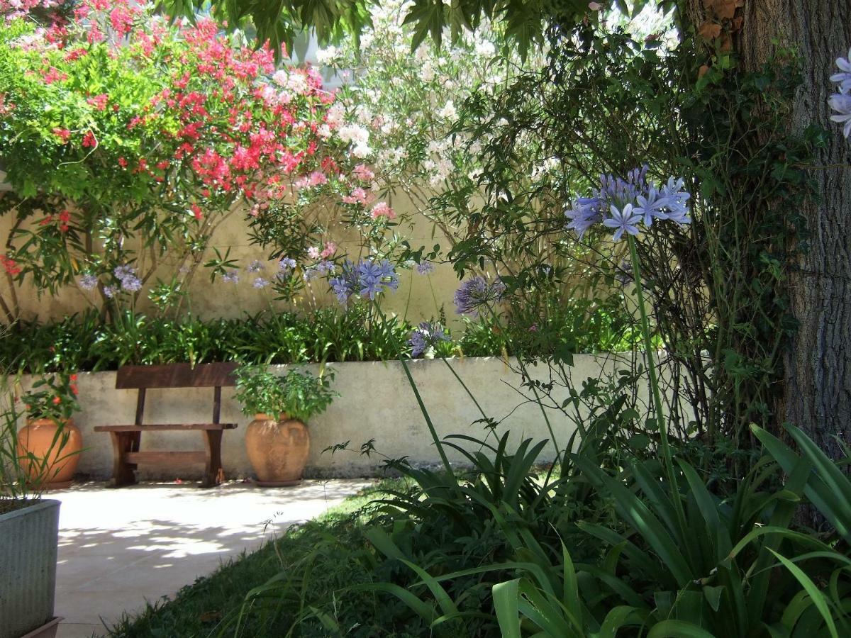 Au Vallon Rouge Saint-Paul-de-Vence Ngoại thất bức ảnh